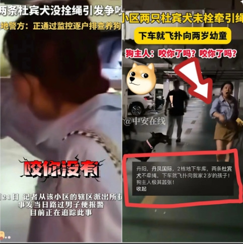 “丹阳找狗事件：团结背后藏着多少无奈？”这几天丹阳人可没少忙活，为了找那两