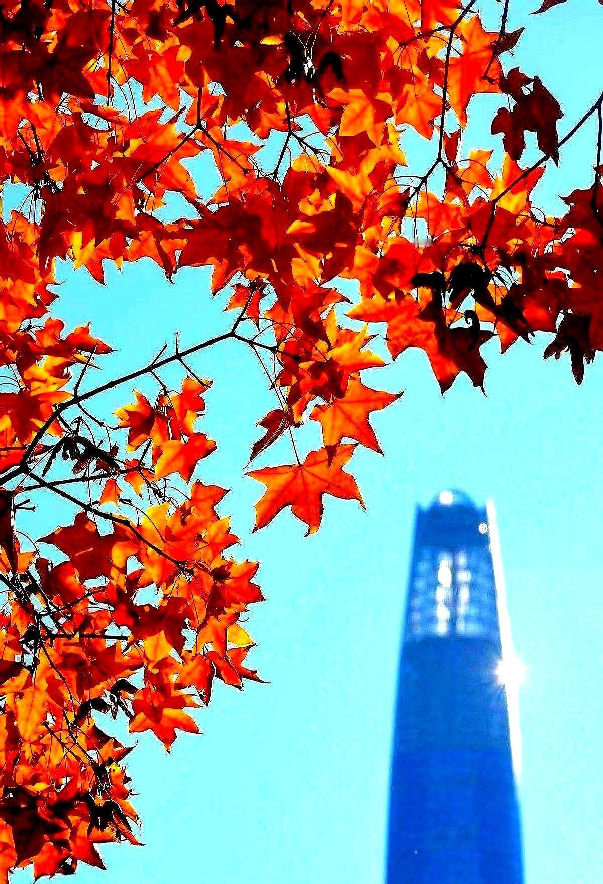 “我天天跑5公里，怎么肚子反而更松？”——健身房体测仪一句话扎心：肌肉掉3公斤，