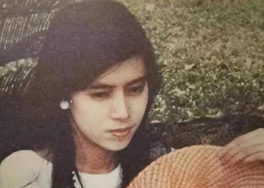 1976年，19岁的许纯美去富豪家里玩，被李文清强暴还怀了孕，为了脸面，许纯美只