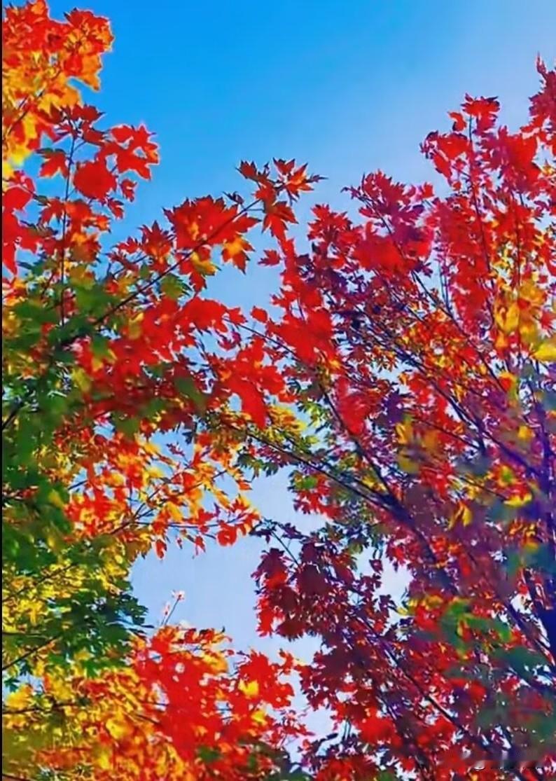 兴趣是最好的老师，只有孩子喜欢才能学好。从孩子喜欢的东西入手，慢慢引导，慢慢培养