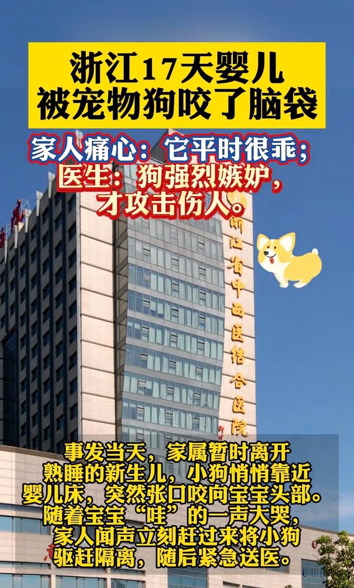 浙江杭州一宠物狗咬伤17天婴儿，只因它吃醋了。杭州的这家人养了一只宠物狗，平