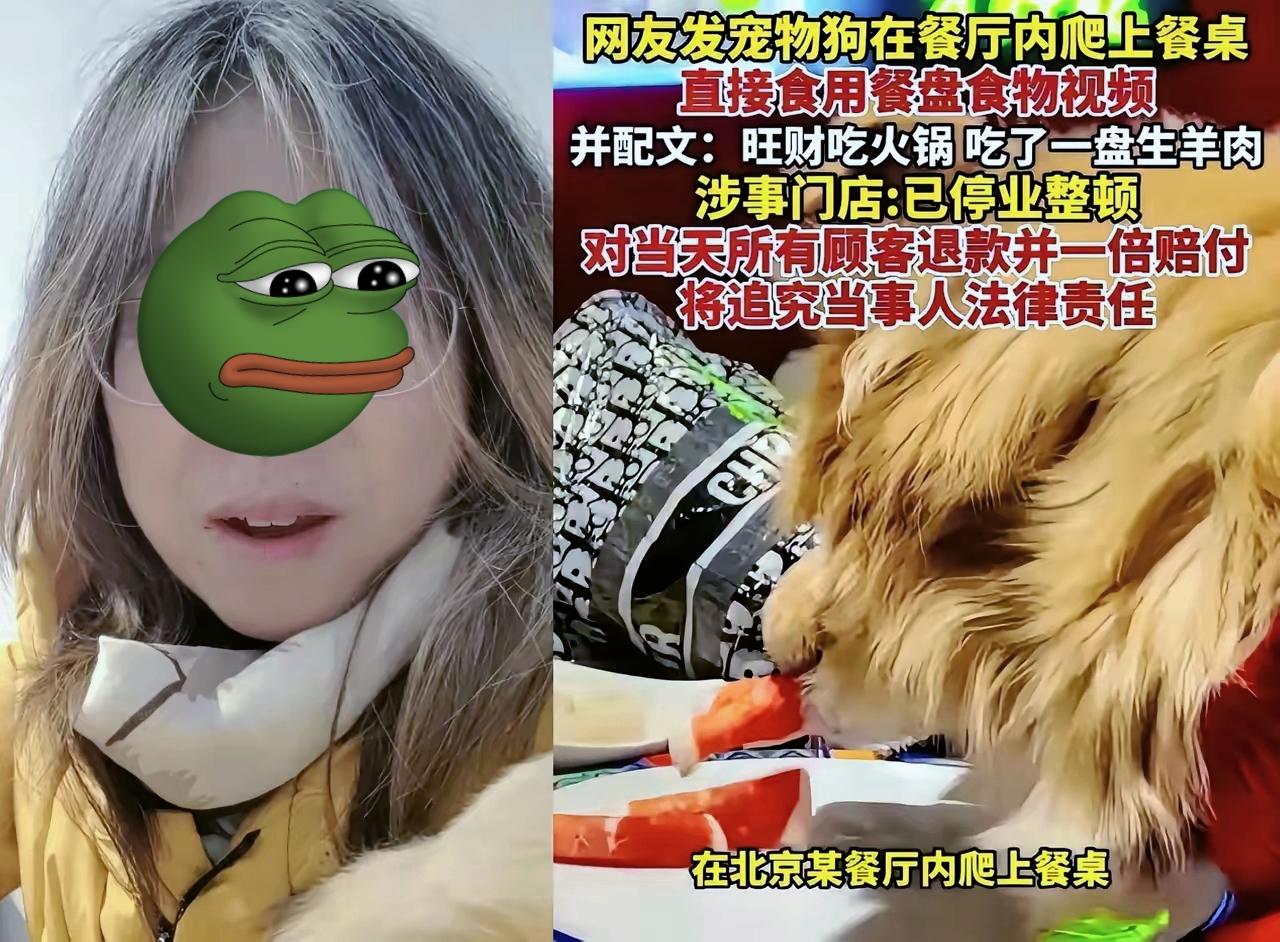 南门涮肉这回真是吃大亏没处说，最该后悔的绝对不是没拦住狗舔盘子，也不是赔食客的