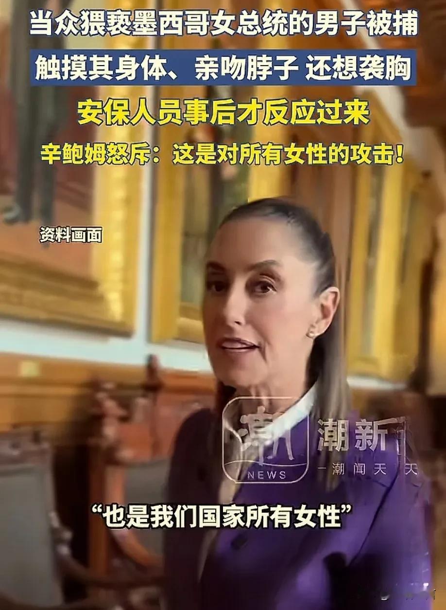 离谱啊！太离谱了，光天化日之下猥亵女总统，简直就是奇耻大辱啊！墨西哥总统在街