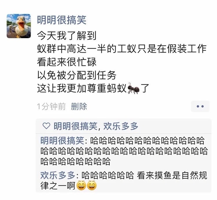 这下可以心安理得地摸鱼了[doge]​​​