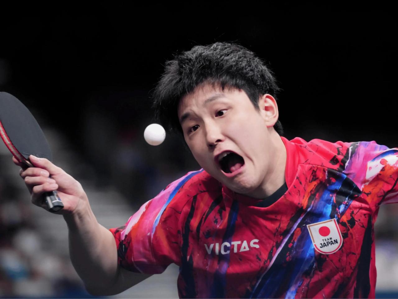 张本智和在成都生气了！看着成都的家乡父老，在给另一个中国人邱党加油，我看着都