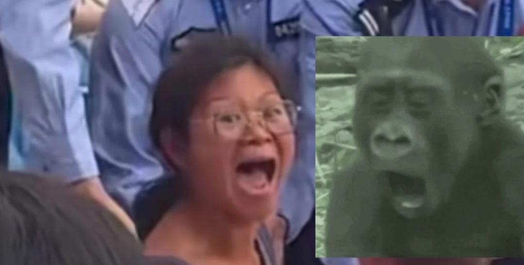 大闹上海网球大师赛的谢女士，再次证明了一个道理，那就是，永远不要试图跟一