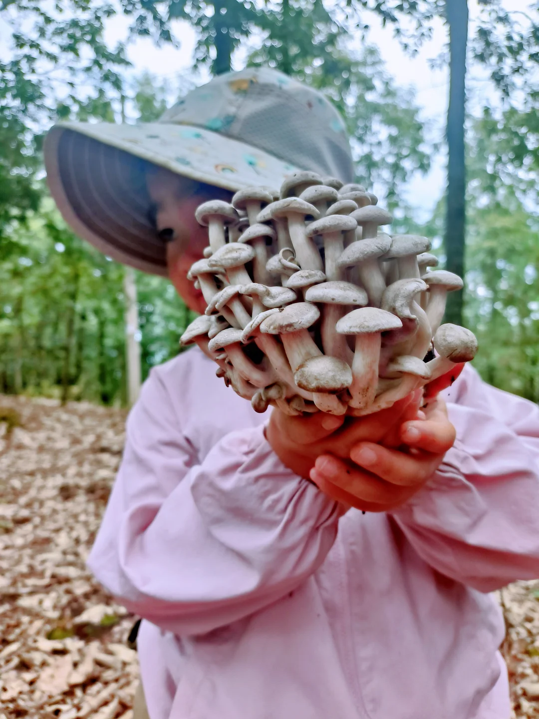云南人的夏天：主打一个捡菌快乐！ 🍄