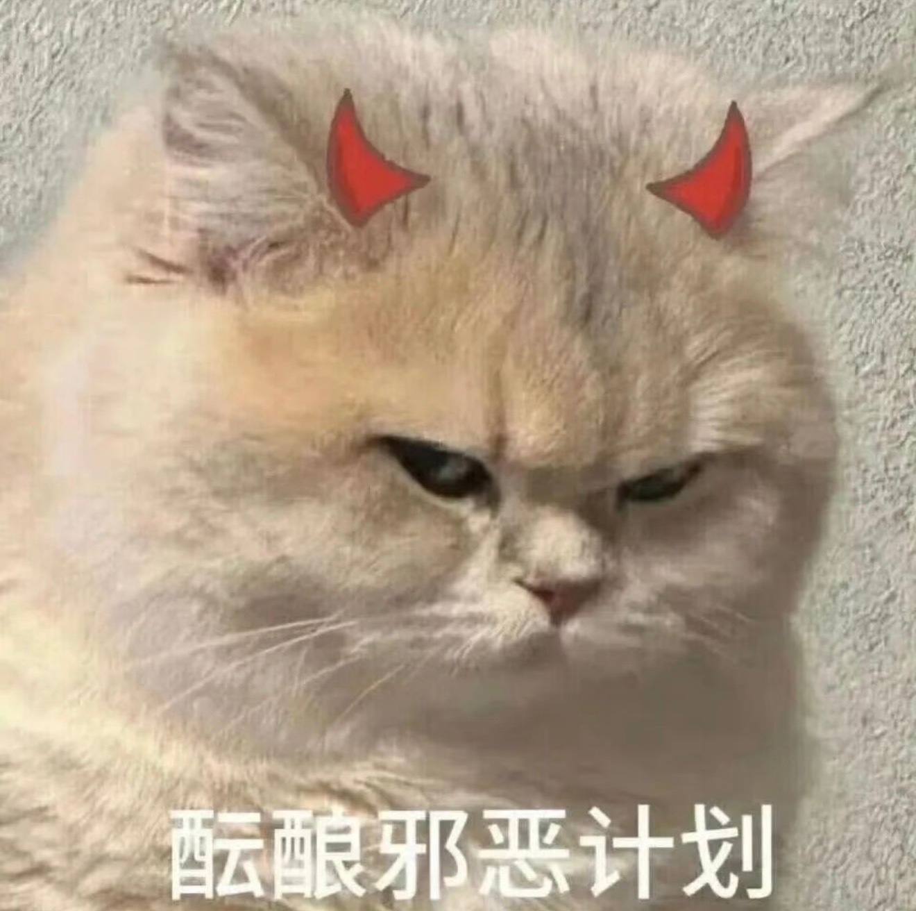 这酒店不错，上来就给我300块代金券～[滑稽笑]​​​
