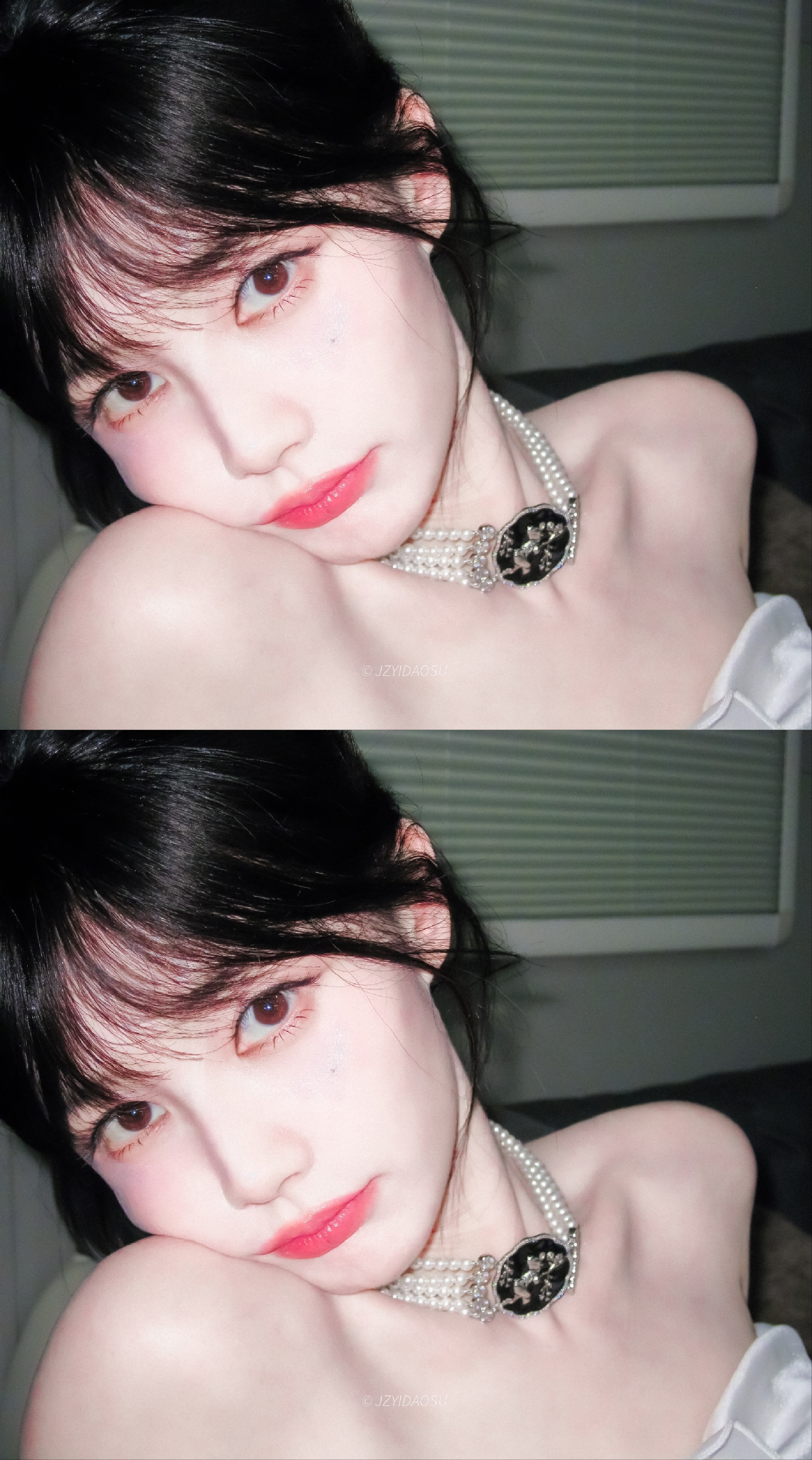 ⦿李一桐波斯猫