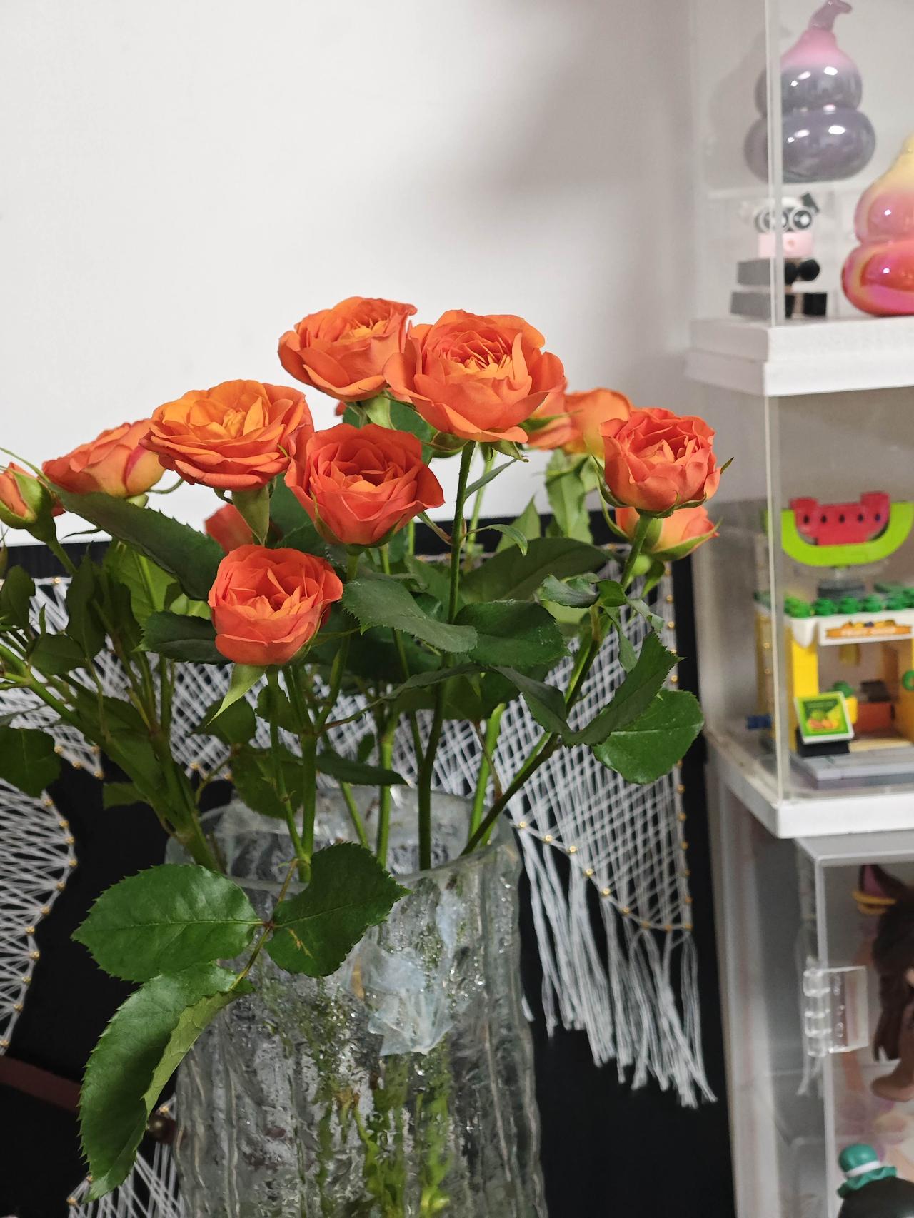 如果没步入到中年，还是被传统思想影响，养儿防老，可是当自己进入到中年后，才