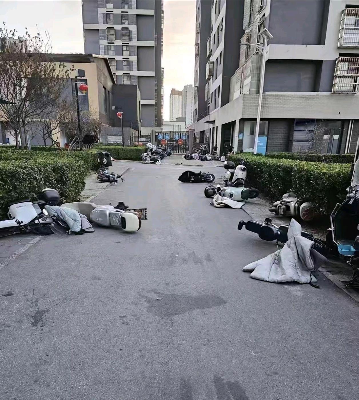 这是发生啥了，一夜之间全军覆没