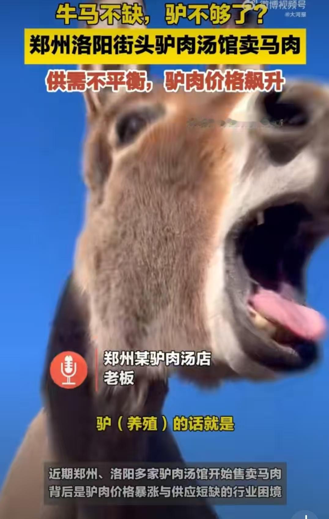 河南多家驴肉汤店卖马肉，作为喜欢喝驴肉汤的我来说，这真的是要哭晕在厕所了。看到