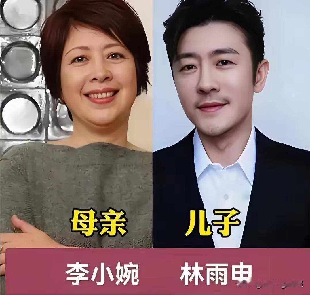 娱乐圈4对母子：母亲都是圈内老戏骨，儿子也在演艺圈闯出一片天在演艺圈里，不少