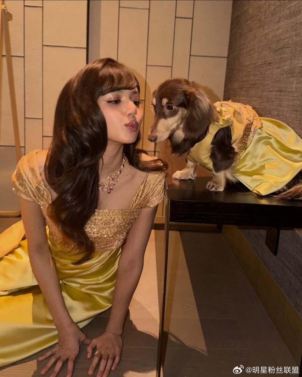 Lisa带Lola出门逛街真的会被这种小细节戳中！用心照顾小狗，温柔对待生活，