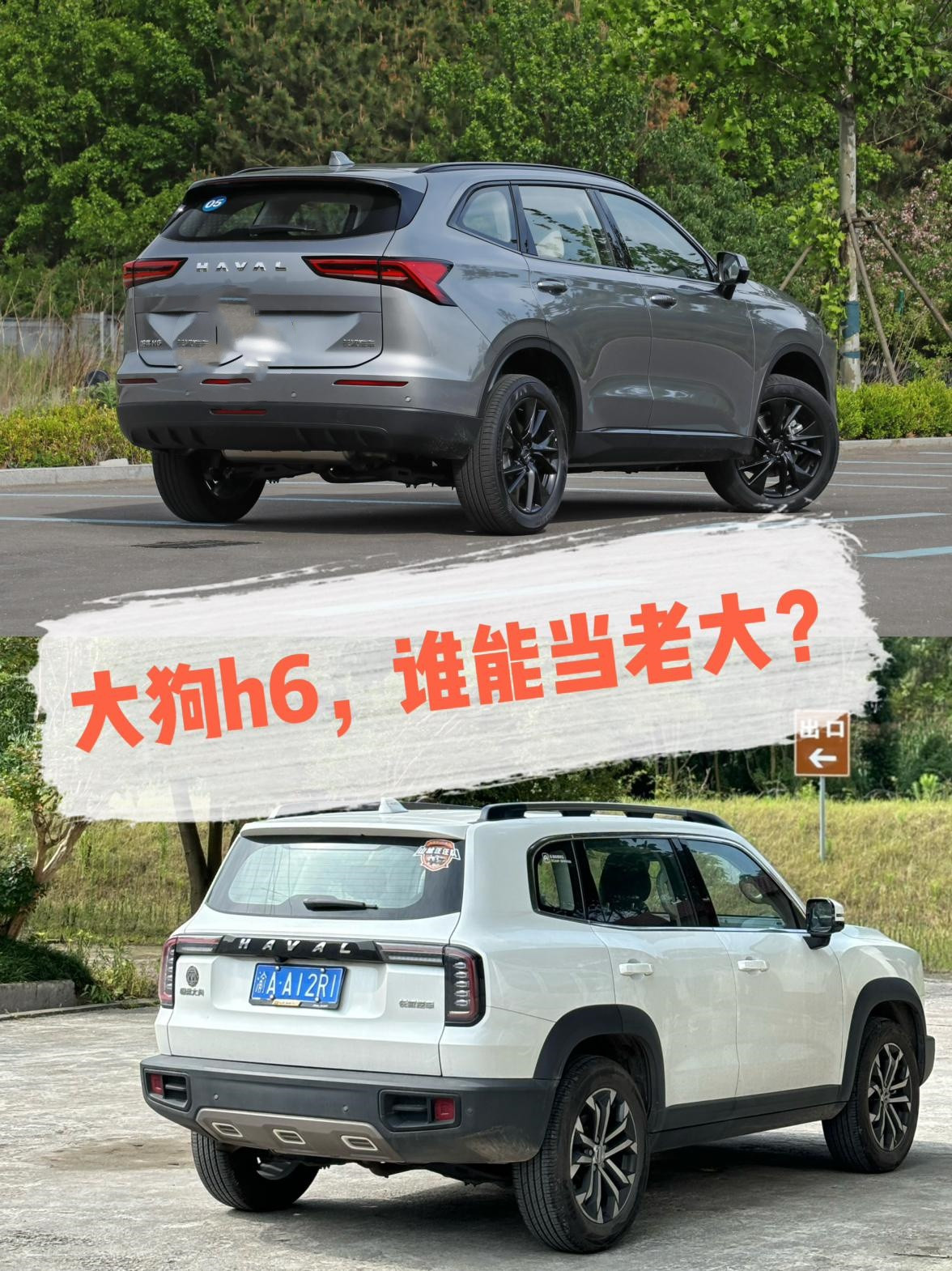 趋近的价格，你选大狗还是H6