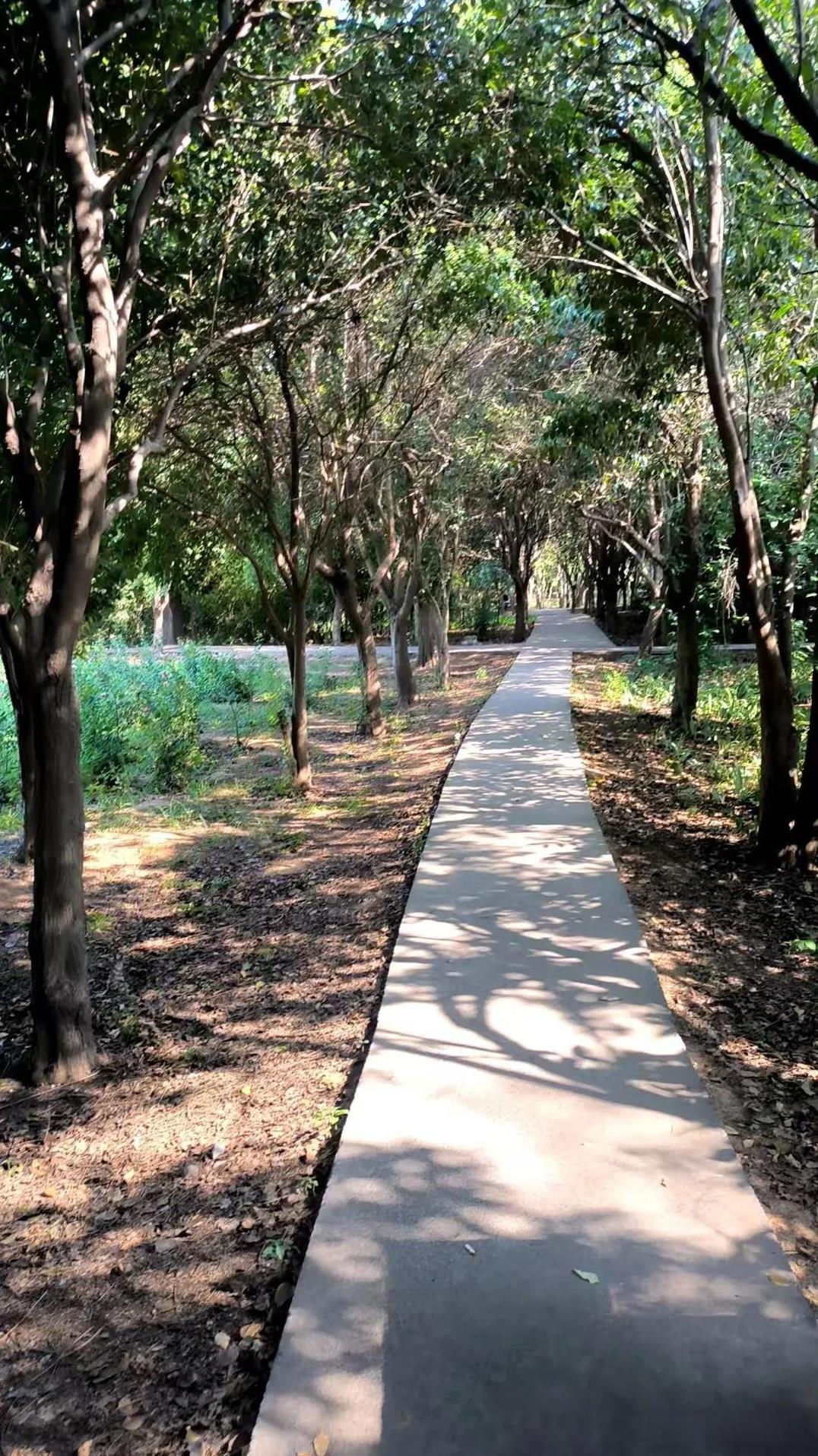 我有几个邻居，经常约着晚上一起出去散步，约了几次我就不想去了我们一同散步的有六