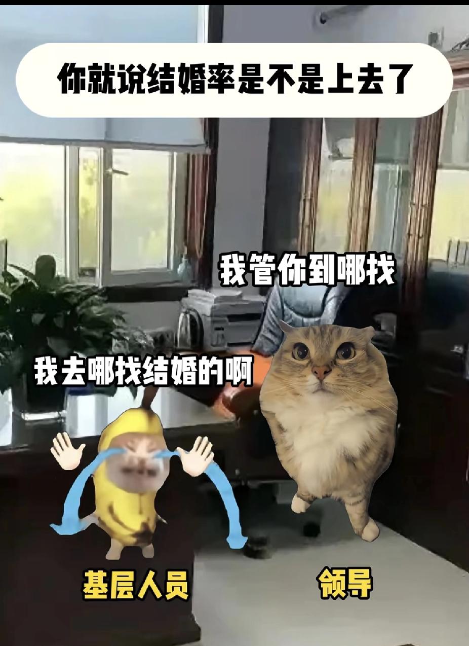 最近多地公布结婚数据在涨！尤其上海，2025年比去年猛增38.7%，。不过这种