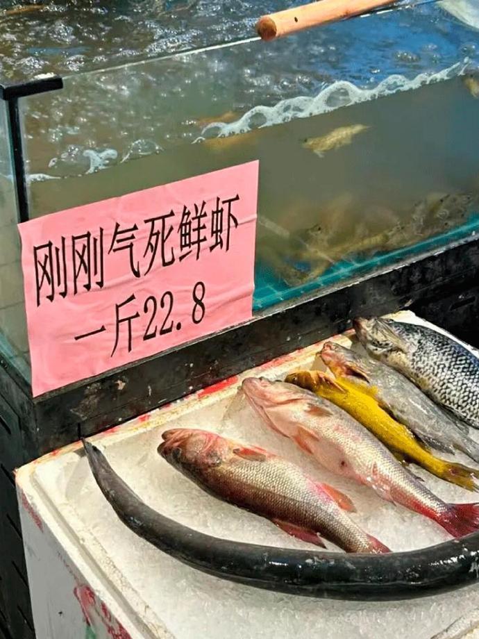 总能在超市发现笑点