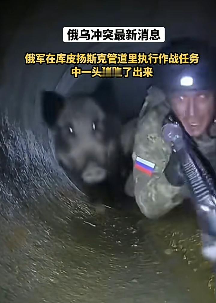 俄军在库皮扬斯克管道里执行作战任务，当他与战友汇报情况时，忽然从管道的另一头跑出
