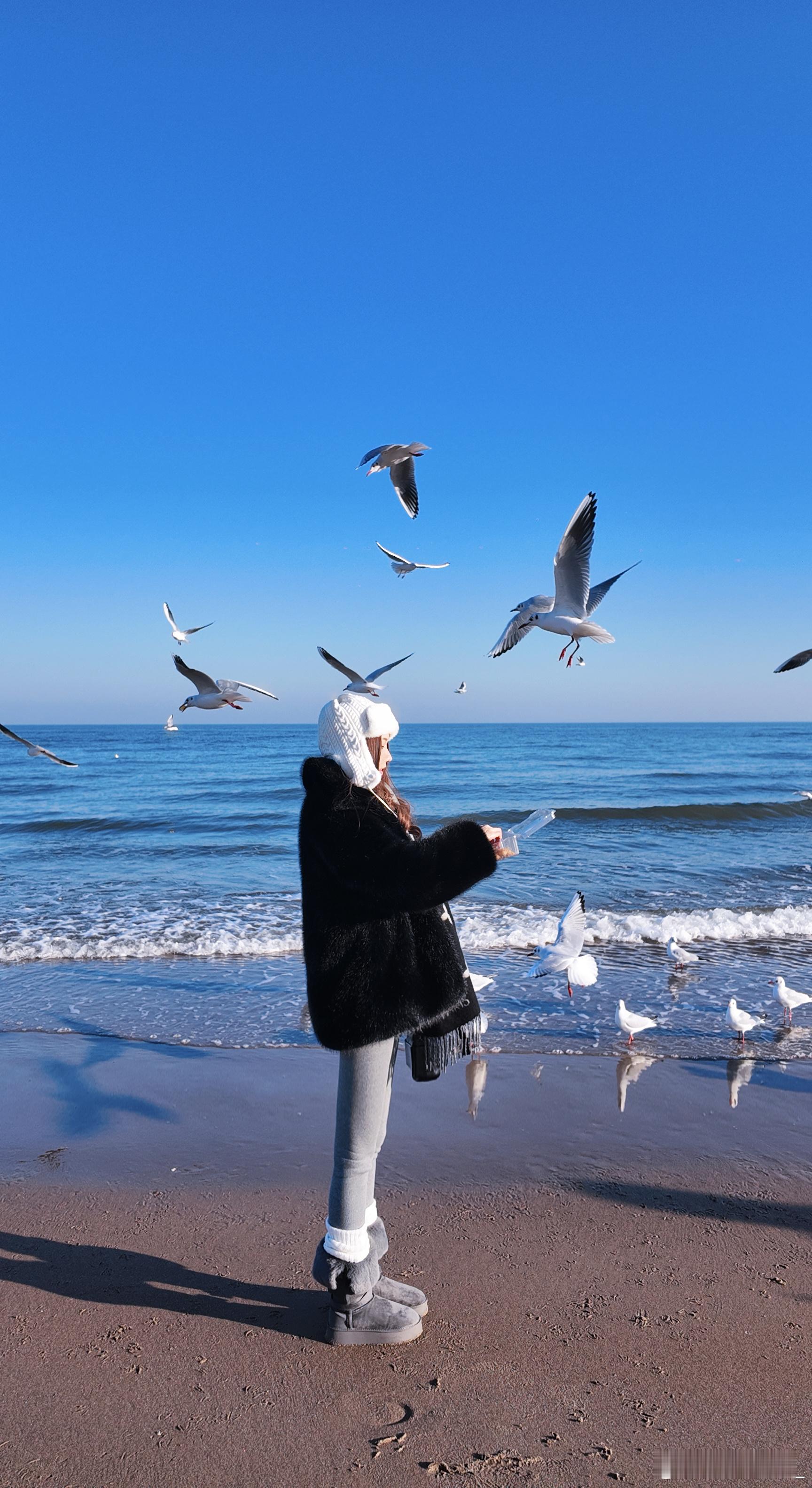 有人相爱有人夜里看海🌊阿那亚海鸥我的旅行日记海边