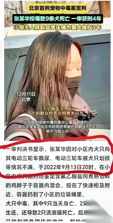 毒狗案判了，我却越想越堵得慌。赢的是养拉布拉多的王姐，蹲局子的是对门的老周—