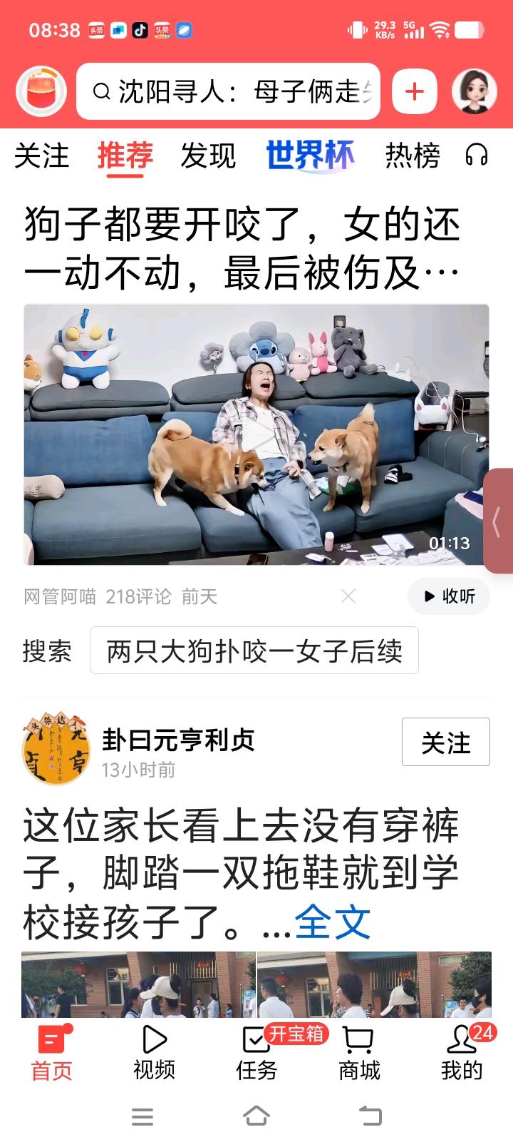 两狗打仗咬了主人，是不是有点活该！眼看两条狗大怒，都要一起来了，可是坐在两