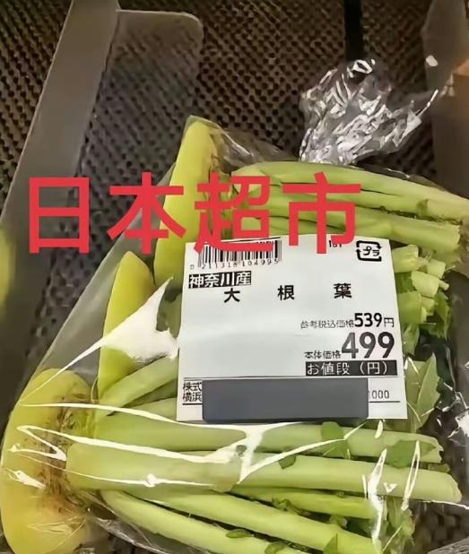 日本老百姓苦高市早苗久矣，连萝卜缨子都成为了一道菜，还放在超市卖。萝卜、白菜、