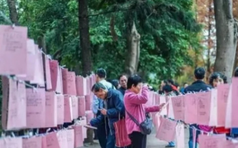 故事：一名42岁的女子在公园相亲，相亲的过程中语出惊人地表示，她在购买衣服的时候