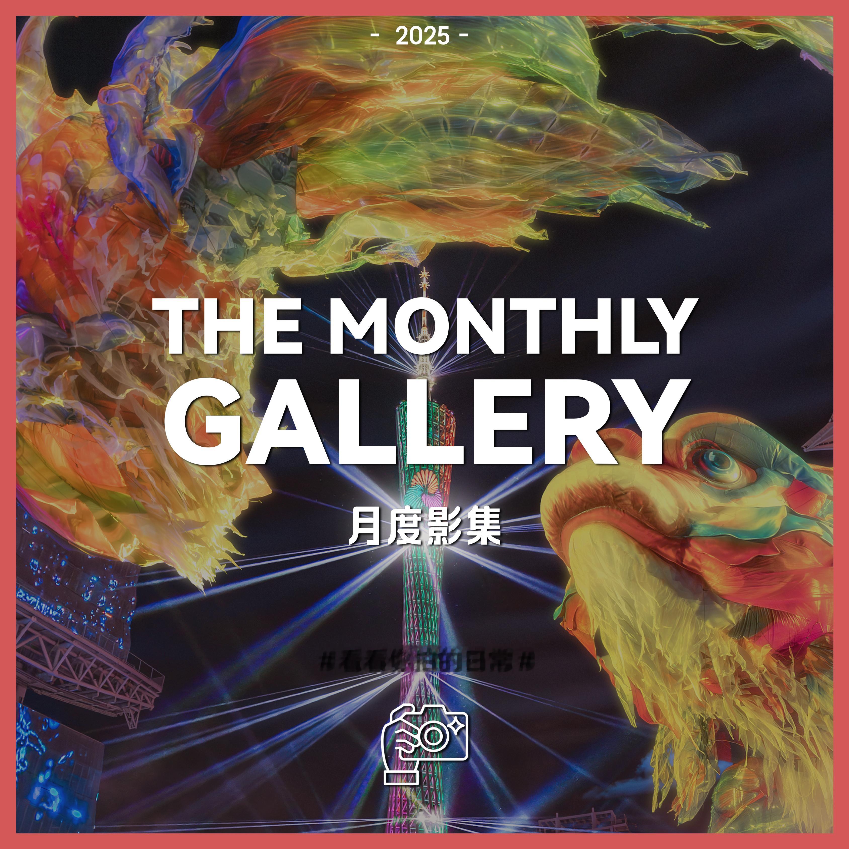 马上告别11月啦！想看看大家最近拍摄的照片📸