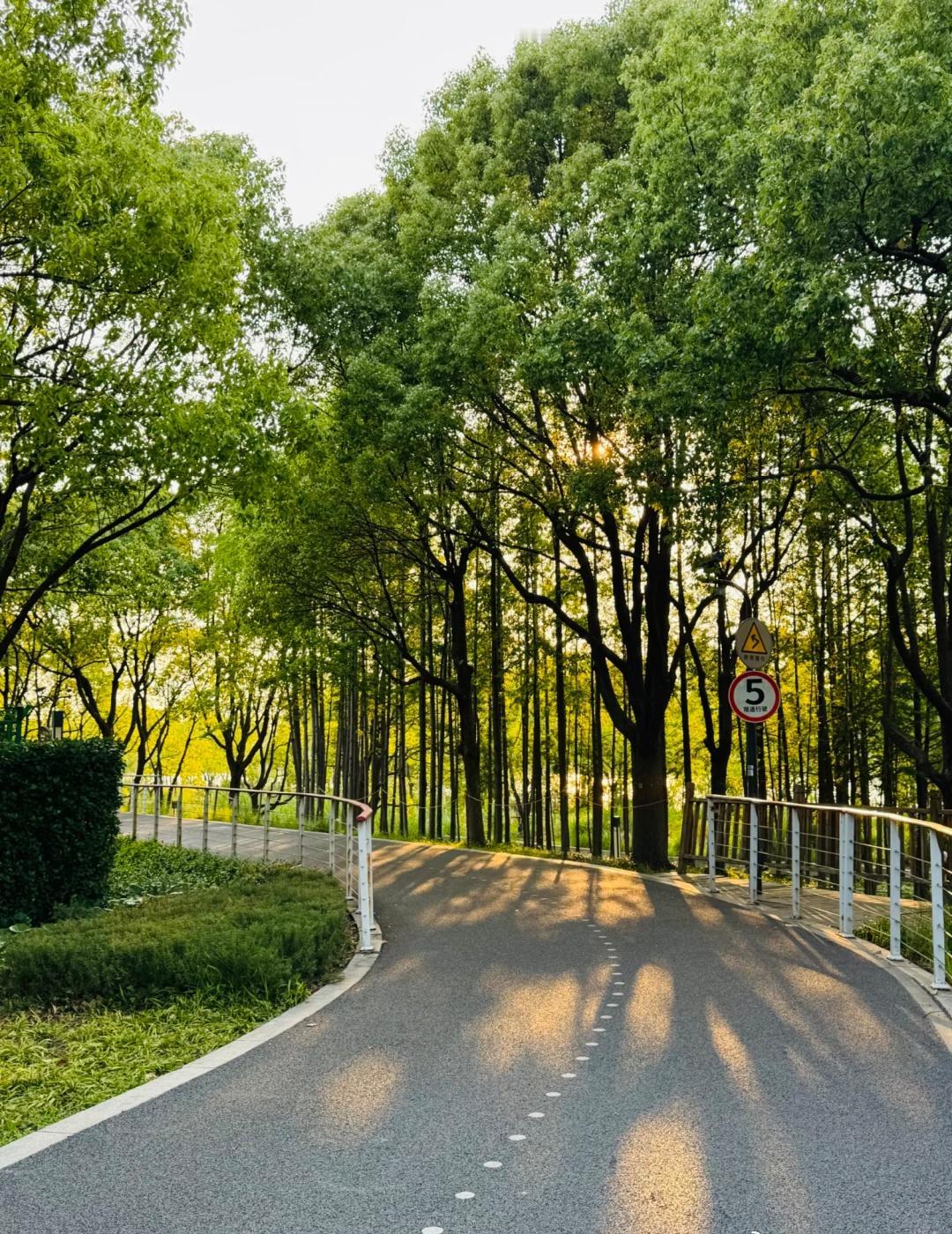 横琴简直是骑行天选之地！！！！喜欢骑行的朋友们一定要码住横琴的这条线路！！人