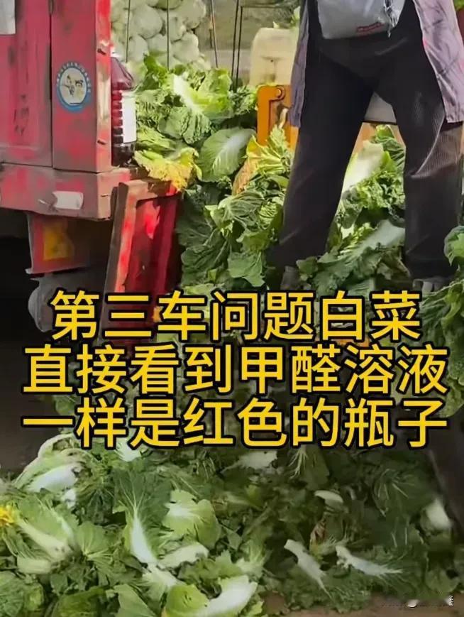 白菜蘸甲醛保鲜？官方通报来了！吃了会怎样？这几招教你避坑最家常的大白菜，居然