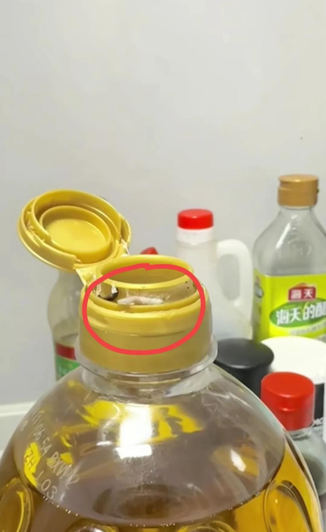 胖东来自营菜籽油，打开盖子后出现了能动的虫子。这真的很吓人，还是活的，你说这虫
