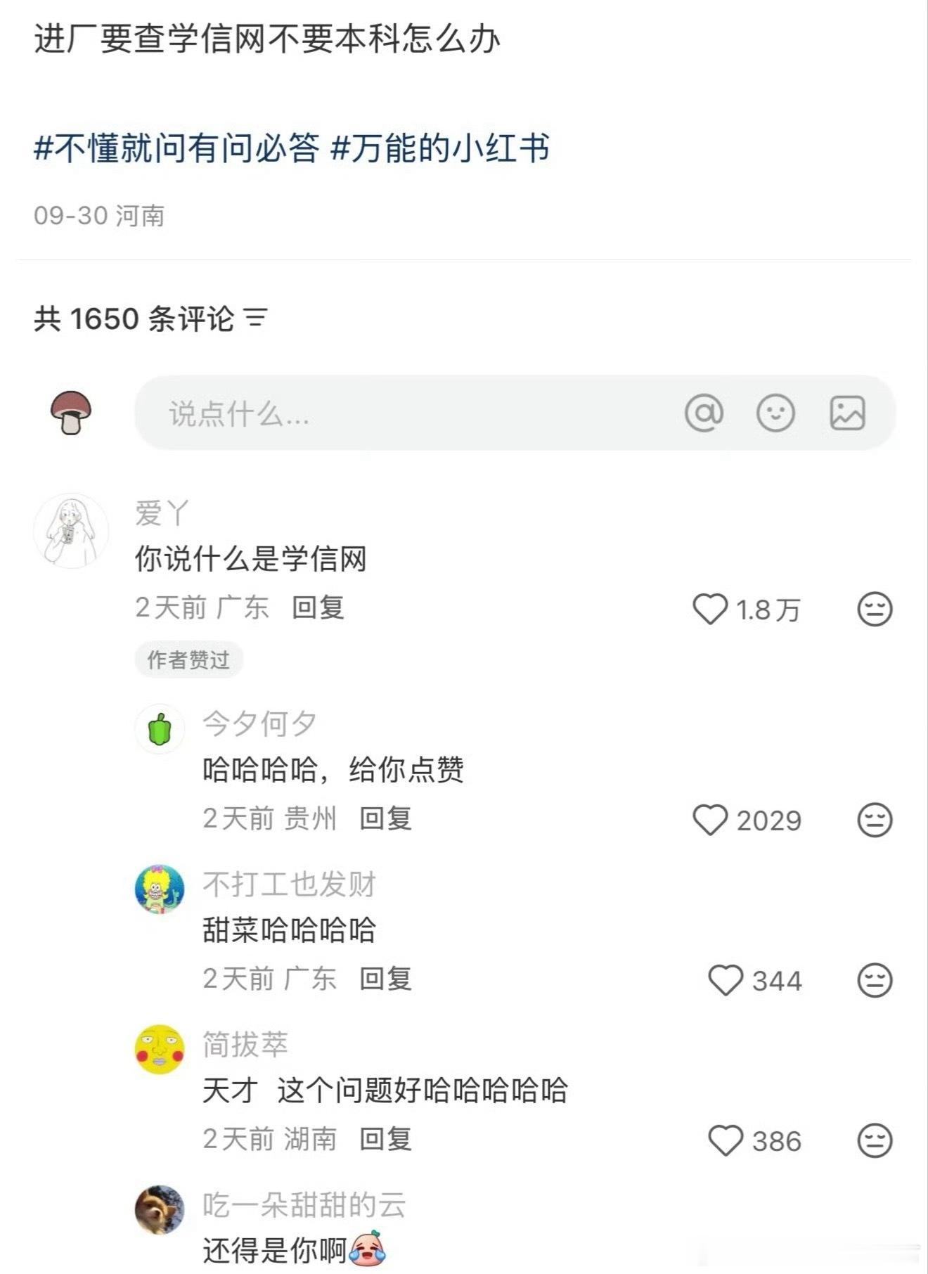 学到了明天就进厂​​​
