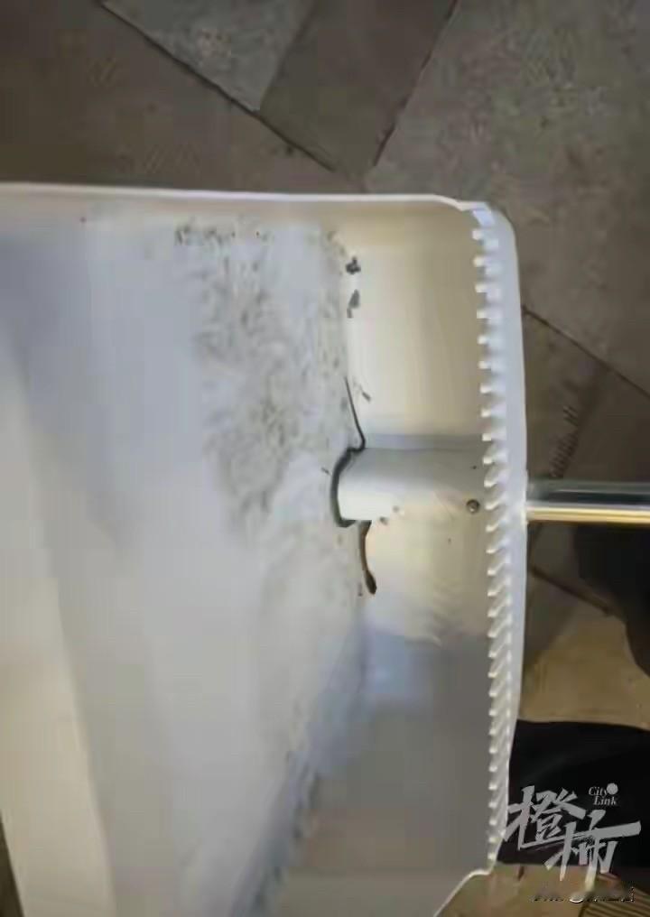 网购一箱绿植，土里钻出条小蛇，接着阳台、卫生间、鞋柜后接连现身，楼主“三只喵喵”