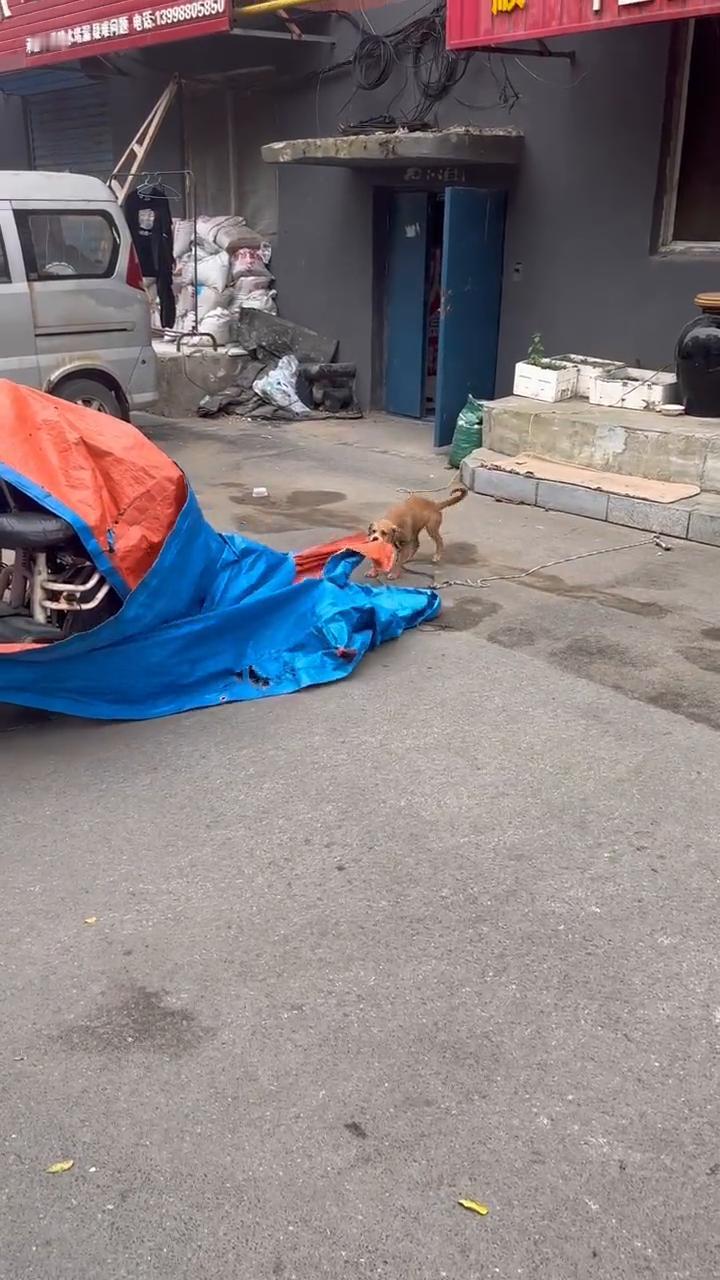 哎呀，咦，呦，呀，呀，呀，哎，呀。