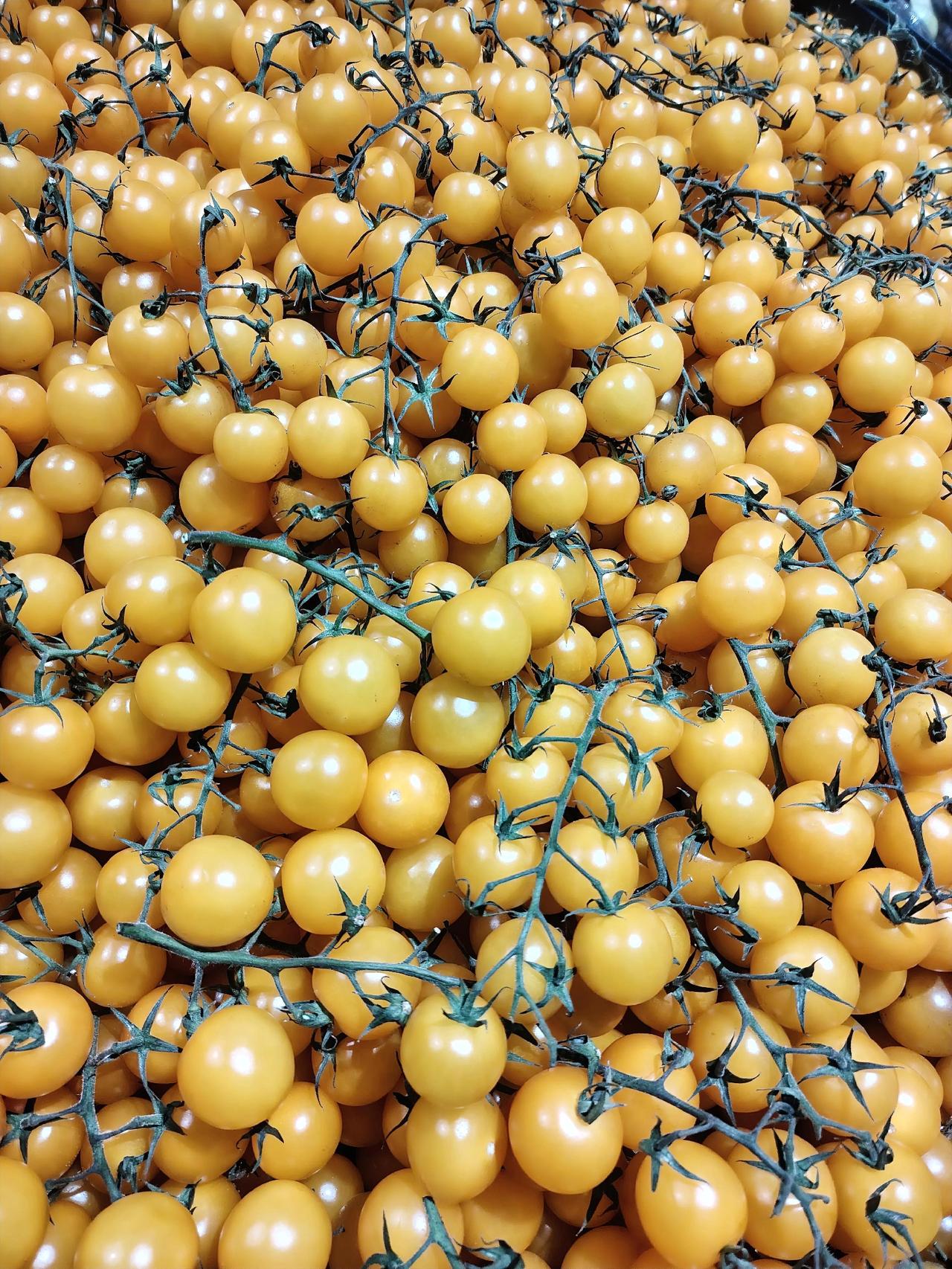 有些父母很可怜，孩子已经是一个白眼狼了，但他们还心存幻想，认为孩子现