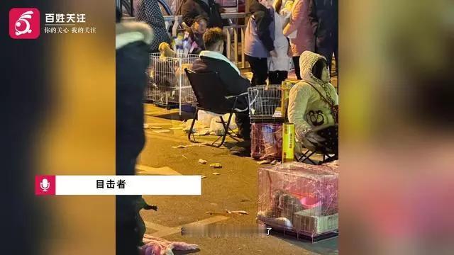 河南摊贩当街摔死多只兔子，民警警告后仍肆无忌惮，全网怒讨太残忍！2月8日晚，河