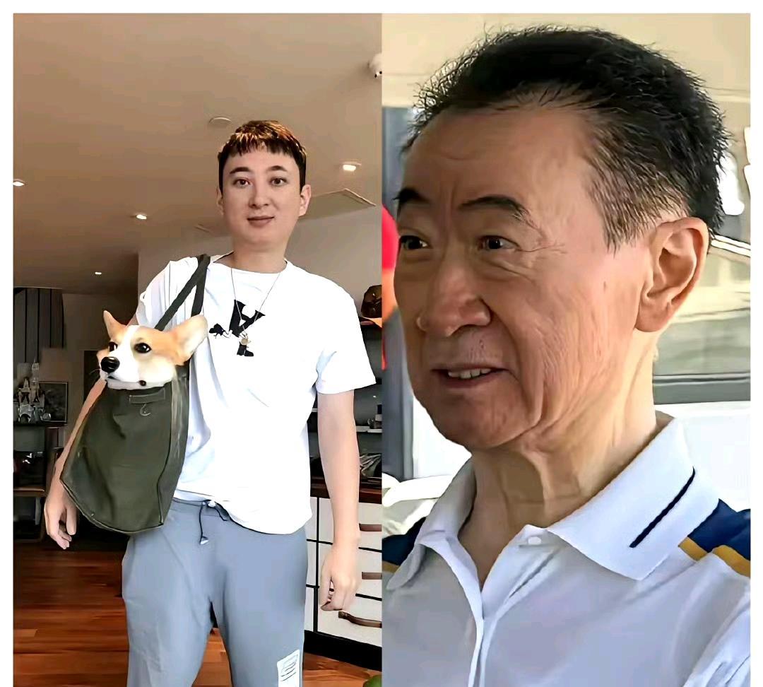 网上刷到王健林被限制高消费后，最明显的是面部瘦下来看着憔悴苍老了不少。但儿子却还