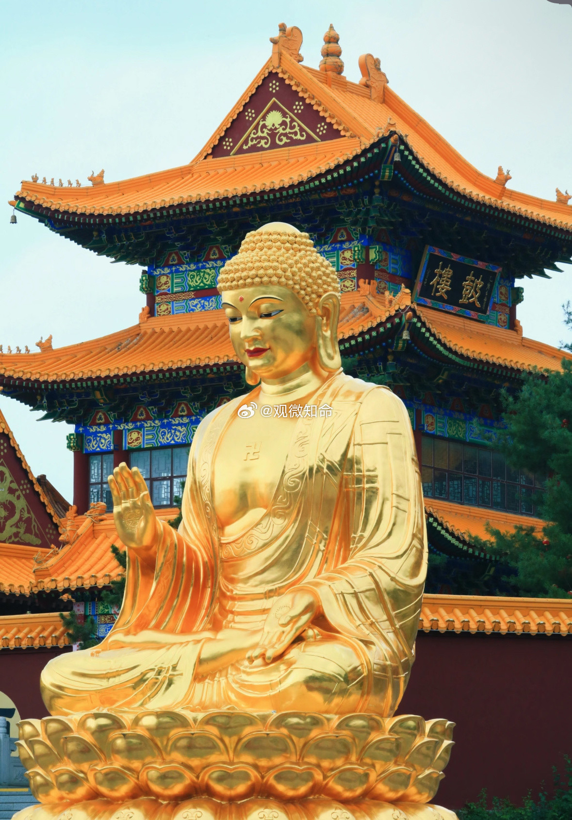 恭喜你刷到大佛金身，请不要无视，评论许愿很灵🙏​​​