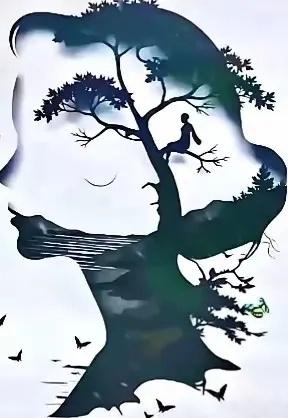 双重错觉图，你的第一眼见的是什么？换个角度，便是另一种风景，是人脸，亦是山河