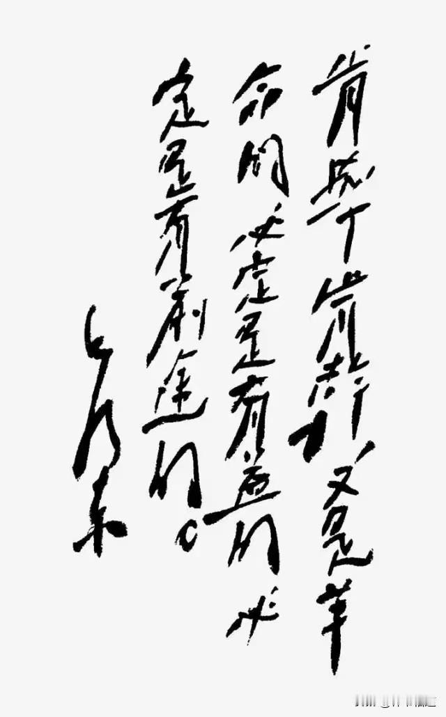 毛主席一向重视青年人的教育，认为青年人充满活力，手脚灵活，精力旺盛，是学习知识的