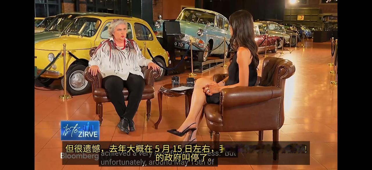 土耳其女商人卡南·切莱比奥卢尝到了印度挥向她的铁拳。她的公司进入印度市场后，成