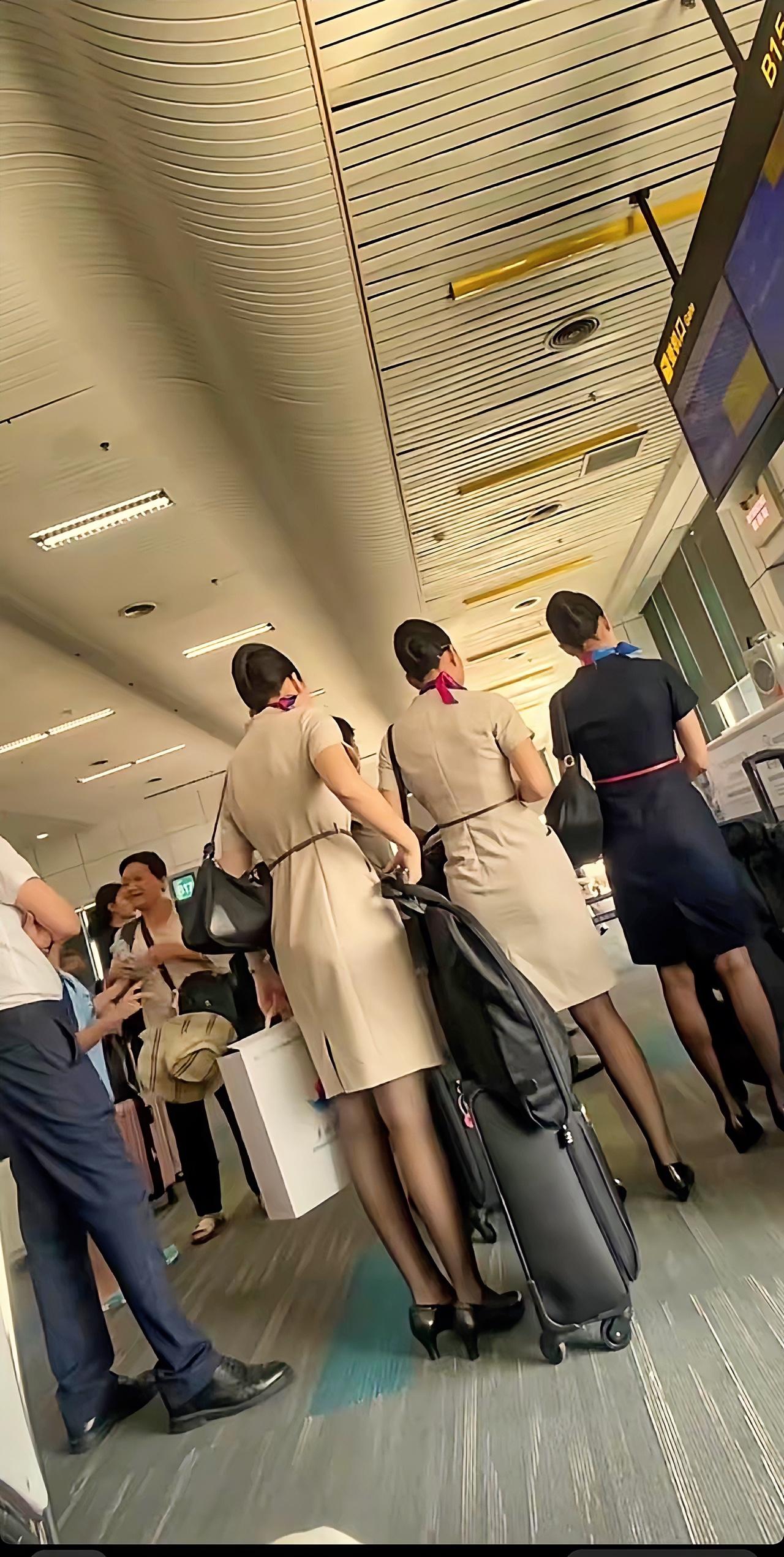 她们被选上当空姐，是有原因的……