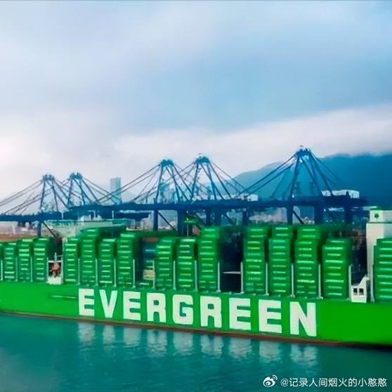 《长荣海运50.4亿美元造船大单一张不给大陆，2025年净利润腰斩，2026年一季度再掉近七成，如今