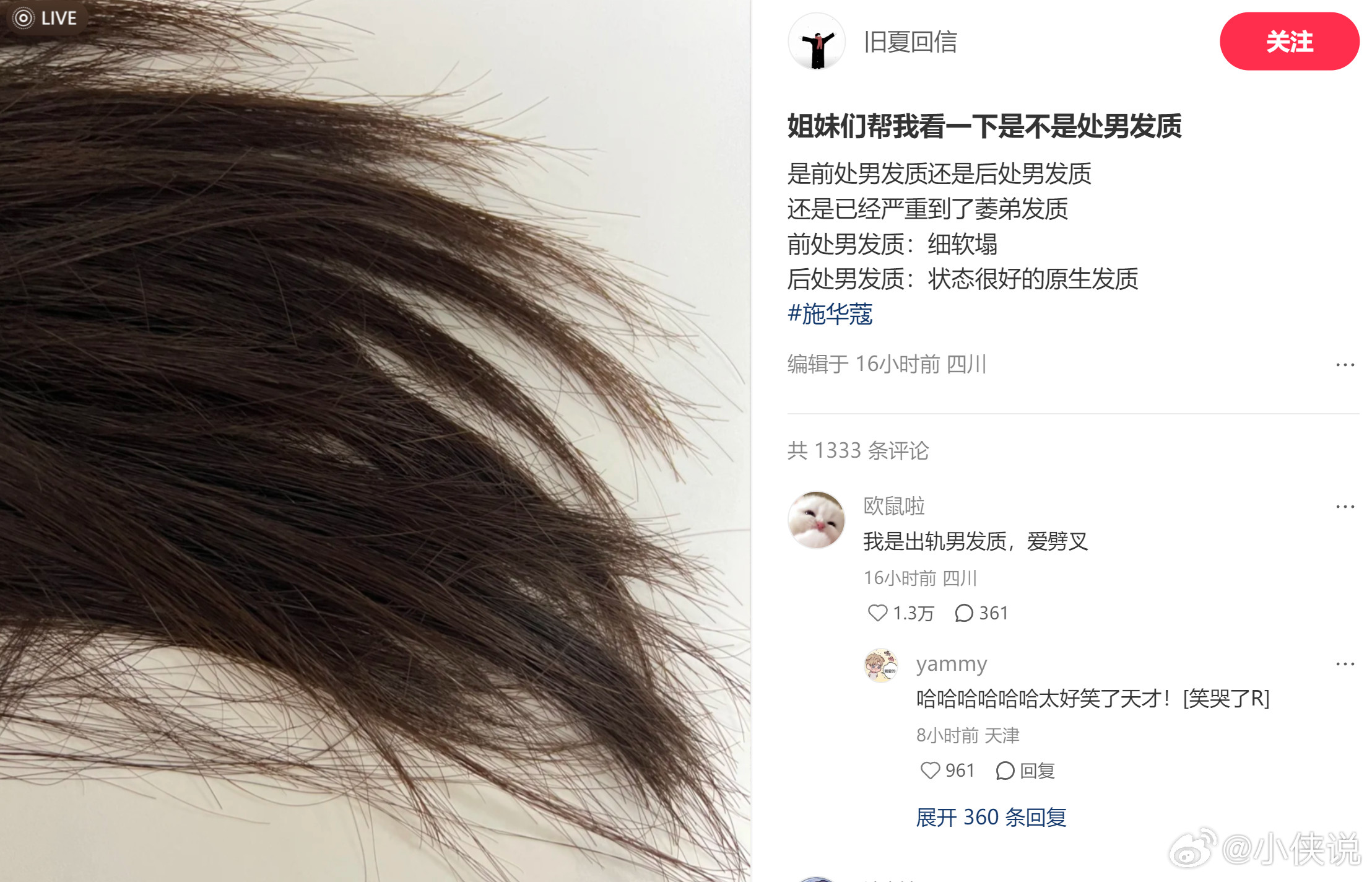 《姐妹们帮我看一下是不是处男发质》评论区笑鼠了[笑着哭]​​​