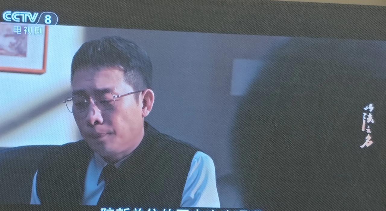 《以法之名》是最近拍的吗？是认真的吗？张译饰演的洪亮，是市检察院检察官，因为升