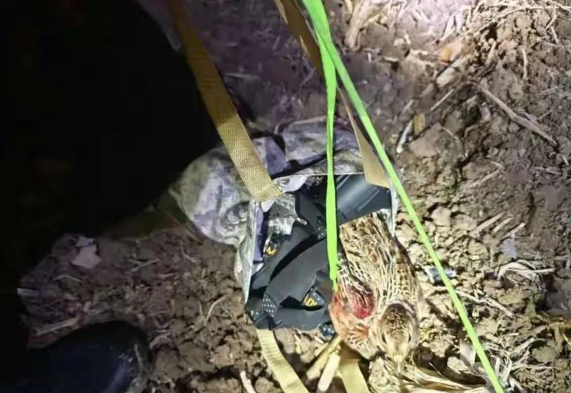 “必须严惩！”山东2男子，半夜不睡觉，戴着头灯偷偷来到山上闲逛，后被民警发现其行