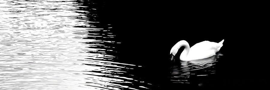 追高是因为贪婪；杀跌是因为恐惧。满仓梭哈是因为赌性过大；深度套牢是因为不敢面对失