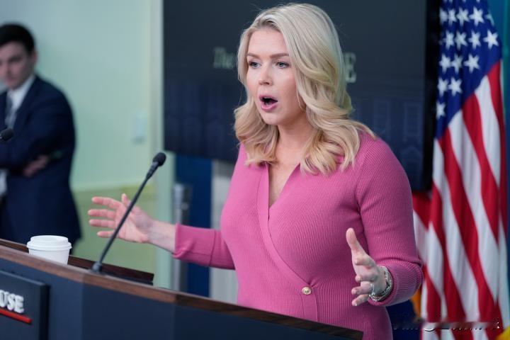 卡洛琳·莱维特指责加州州长纽森释放被监禁的非法移民。ICE代理局长托德·莱昂斯