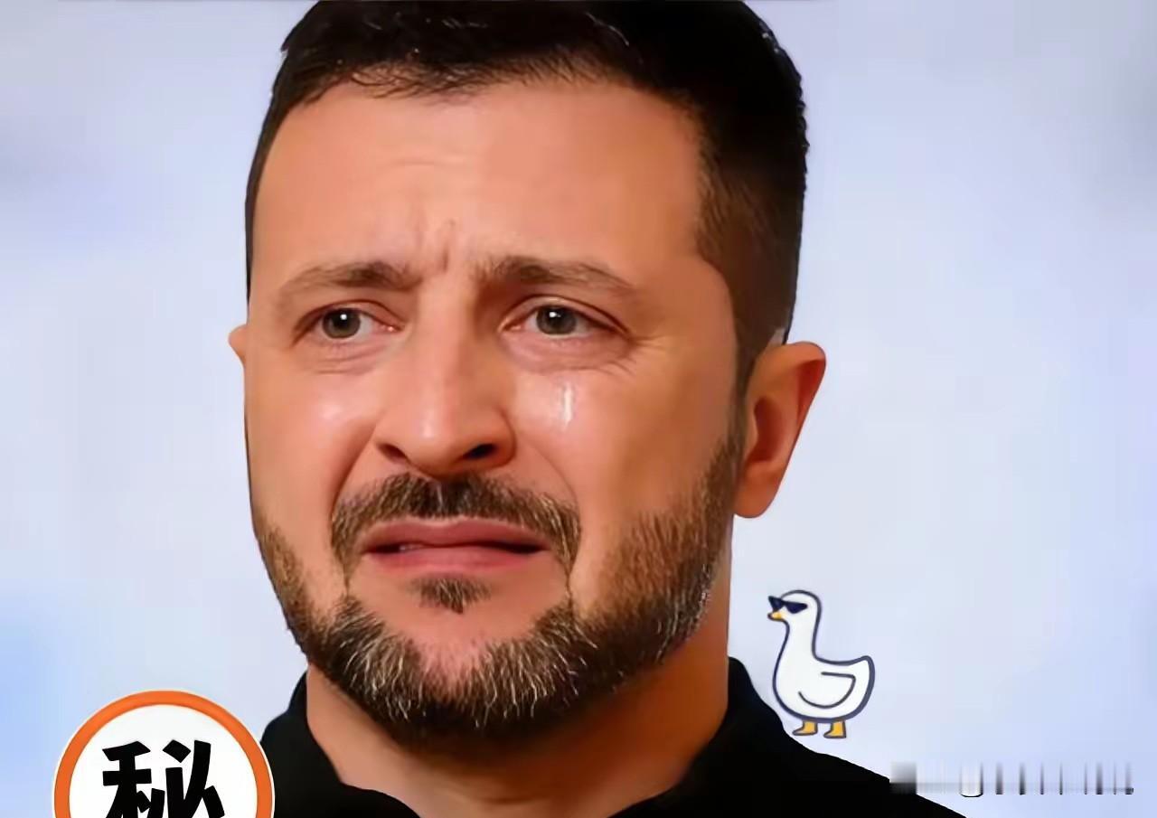 什么玩意？11月26号这一天——泽连斯基直接把大招砸在官方频道！视频文字双管齐下